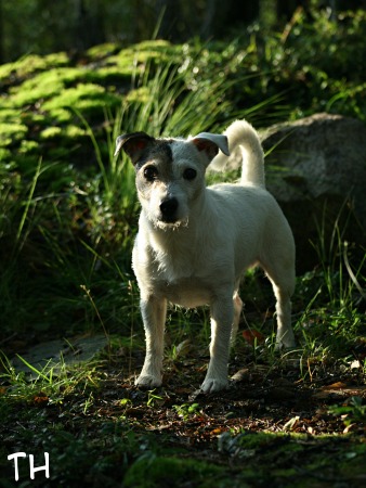 20080826 Eppu edesta.JPG - Ebedictus